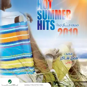 Hot Summer Hits 2010