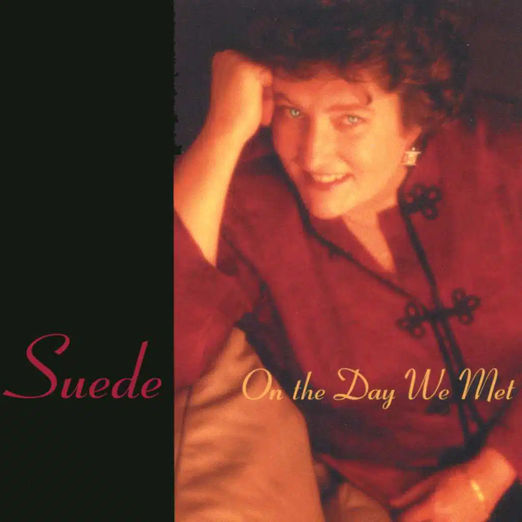 On the Day We Met