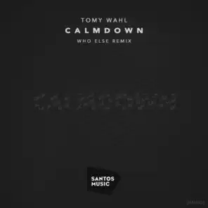 Calmdown (Who Else Remix)