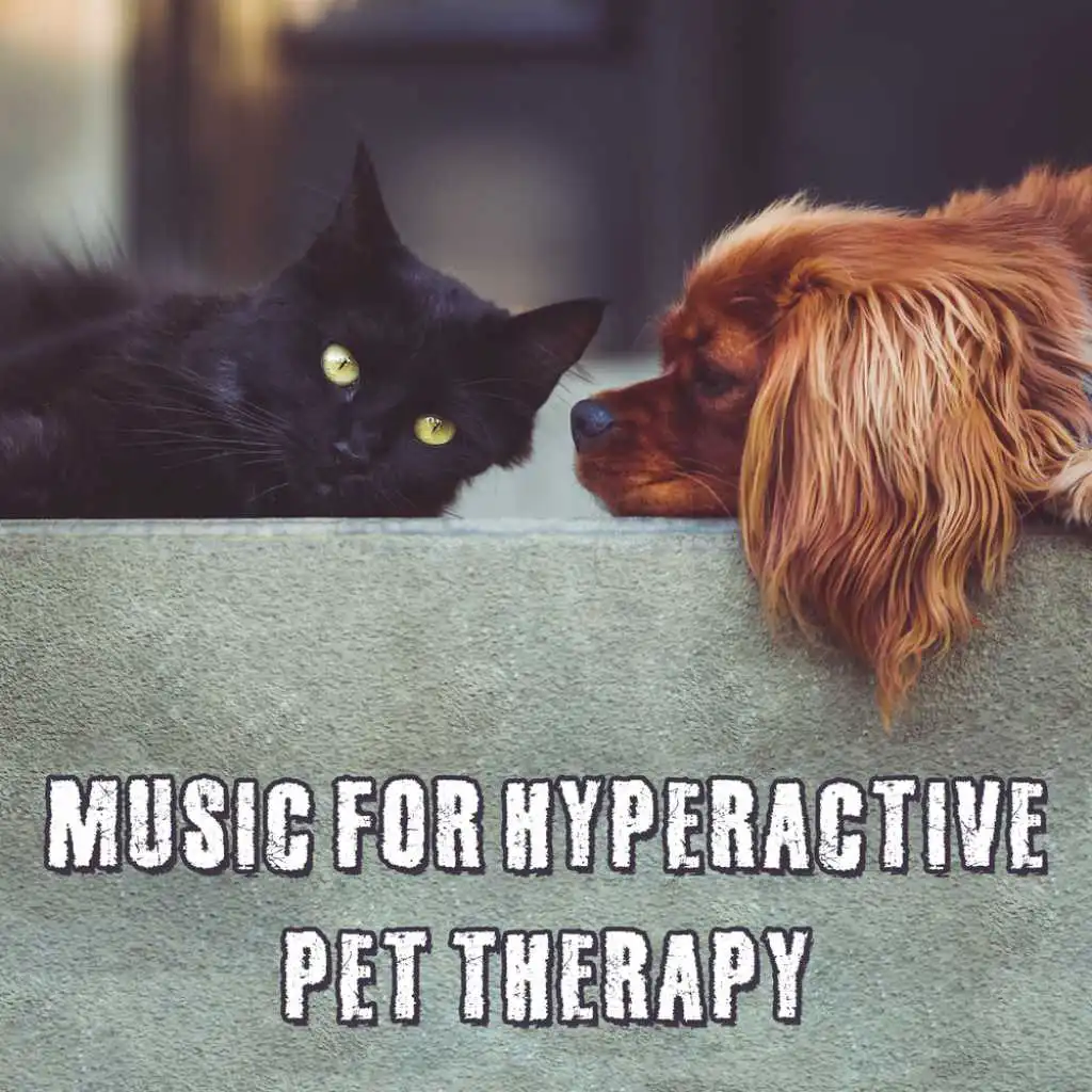 Music for Hyperactive Pet Therapy, Zen Relaxed Dog, Happy Calm Pets