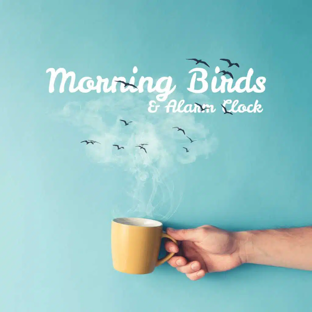 Morning Birds & Alarm Clock
