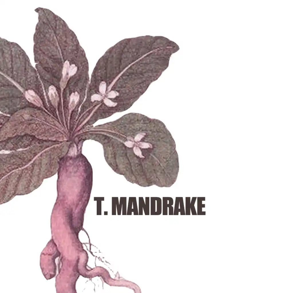 T.Mandrake