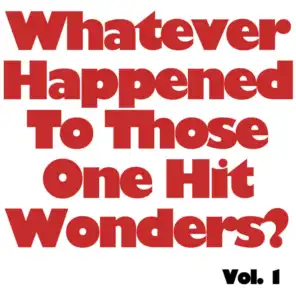 I Wonder What Happened To Those One Hit Wonders, Vol. 1