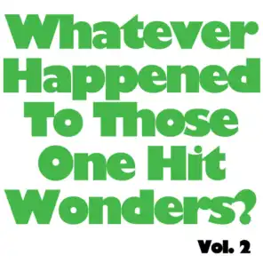 I Wonder What Happened To Those One Hit Wonders, Vol. 2