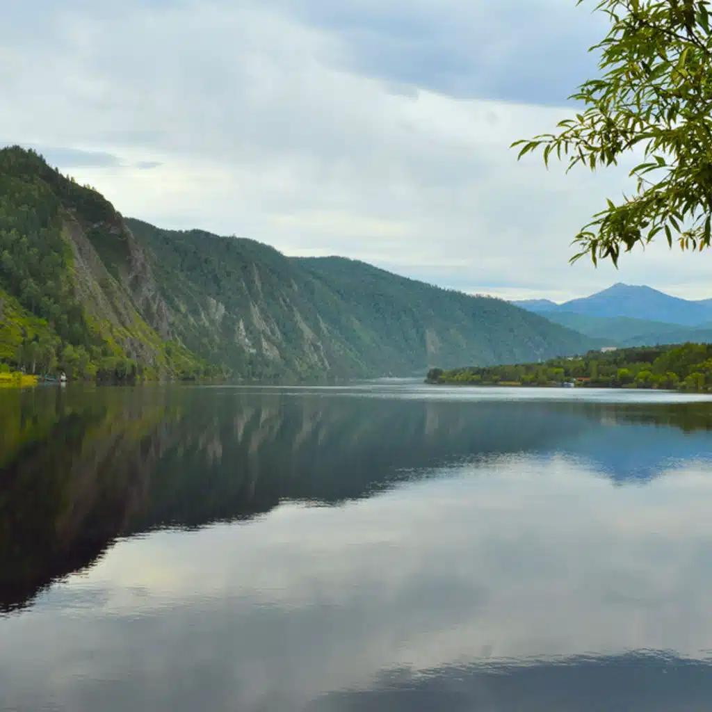 Orchestra of the Moscow Philharmonic Society
