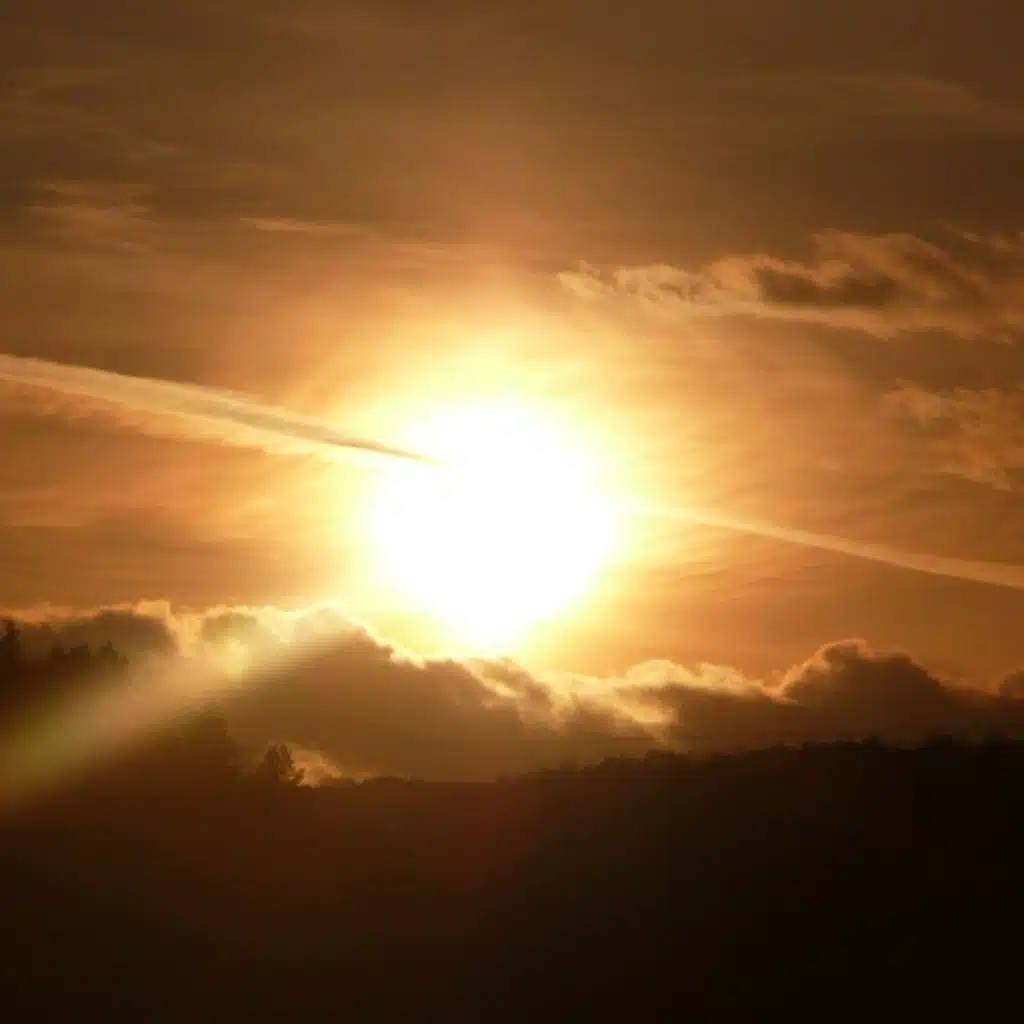 Preludes Six Schübler Chorale BWV 648 - 4 - Meine Seele erhebt den Herren