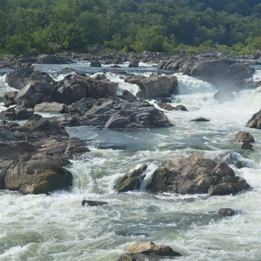 Khachaturian - Masquerade Suite; Stravinsky - The Firebird Suite; Schubert - Symphony No 8