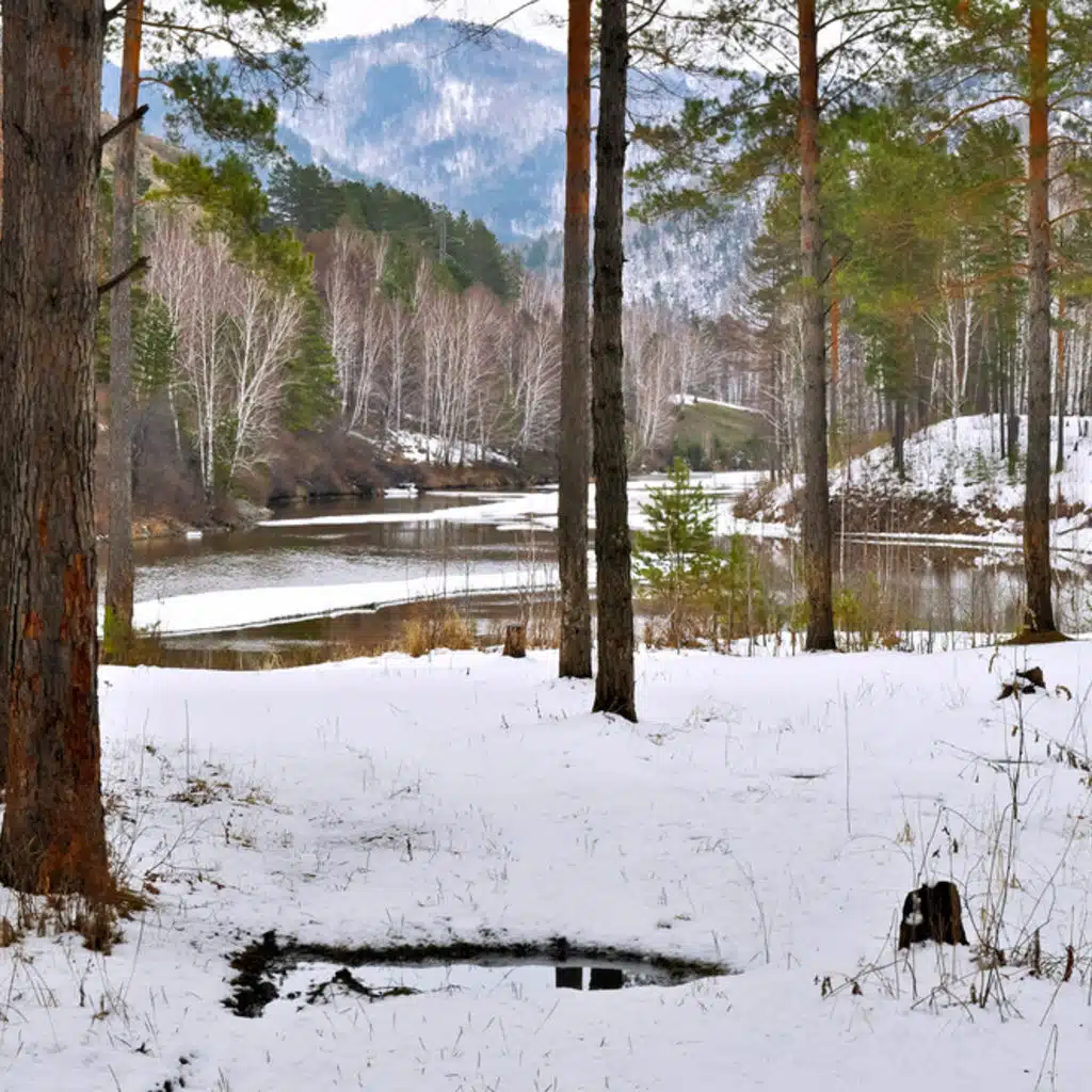 Bach - Piano Concertos No 2 and No 4; Boccherini - Cello Concerto No 2 etc