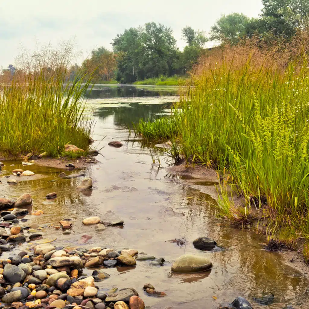Rachmaninov - Piano Concerto No 2;  Ravel - Bolero, La Valse