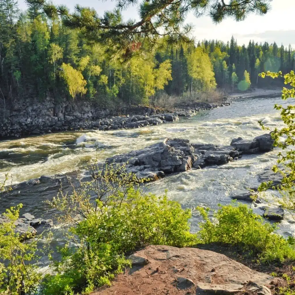 Haydn - Oboe Concerto No 1, Piano Concerto No 2 and Piano Concerto No 3