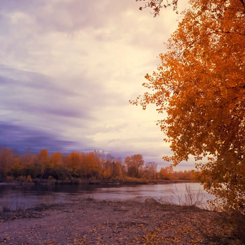 Liszt - Piano Concerto No 1; Mahler - Symphony No 1