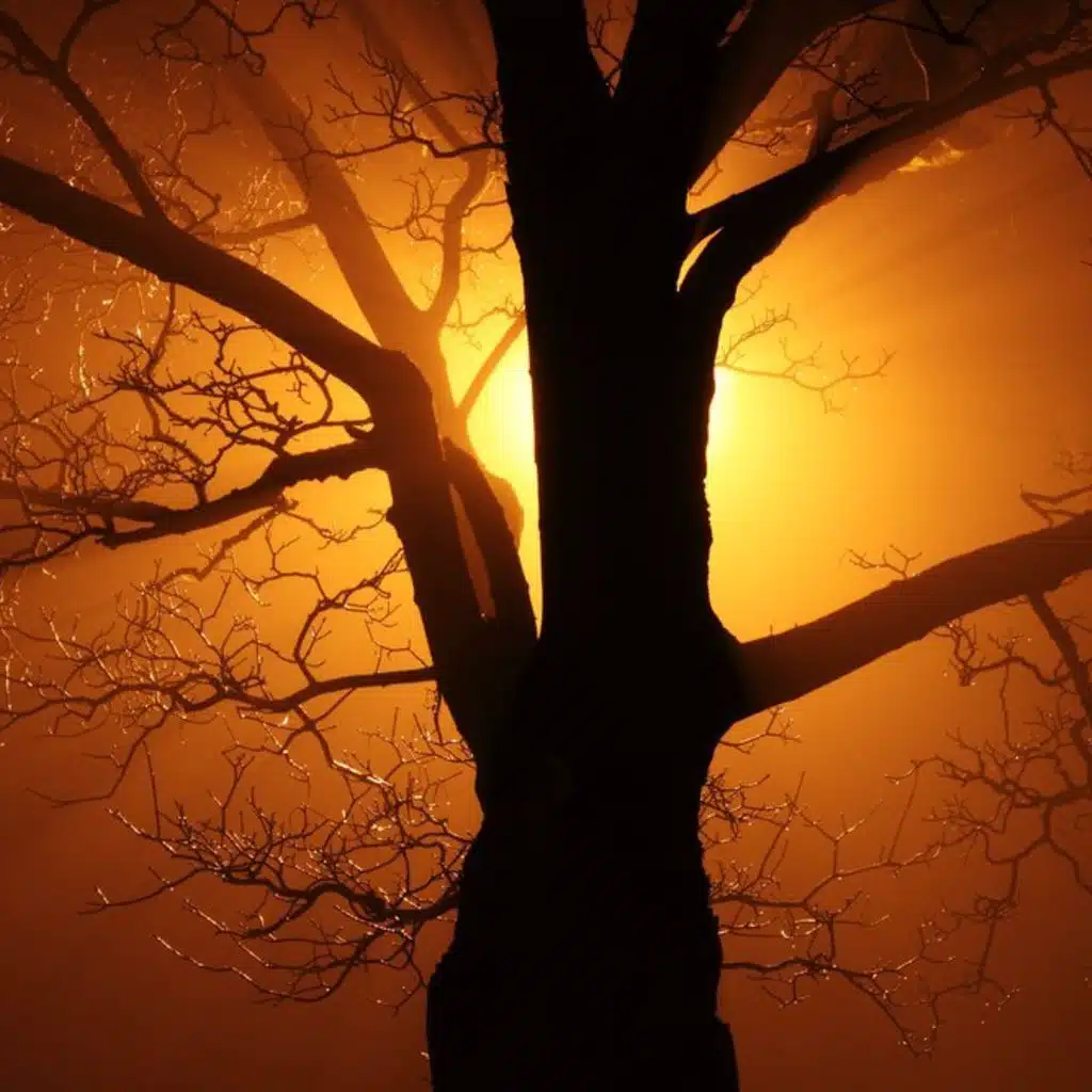 Beethoven  - Sonata No 18; Mjaskowskij - Symphony No 26