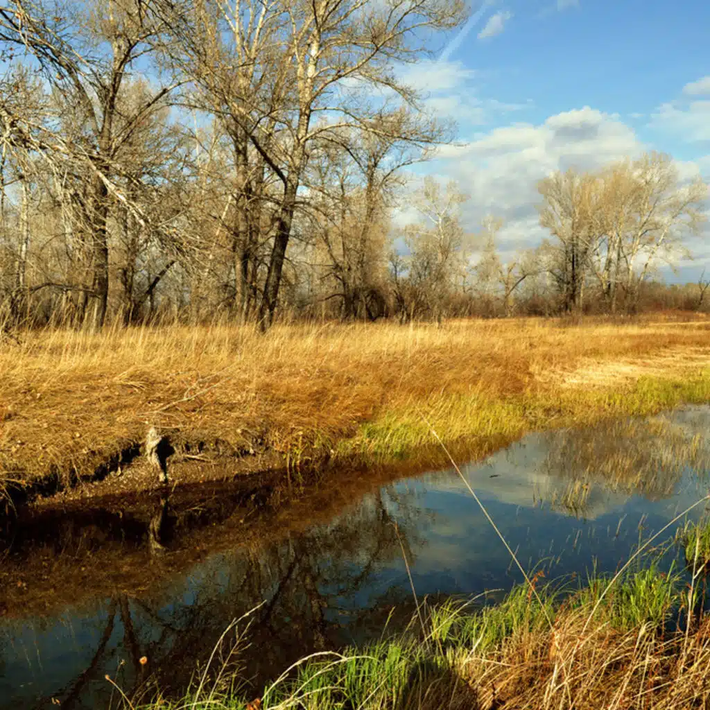 Symphony No.15 in A major, Op.141