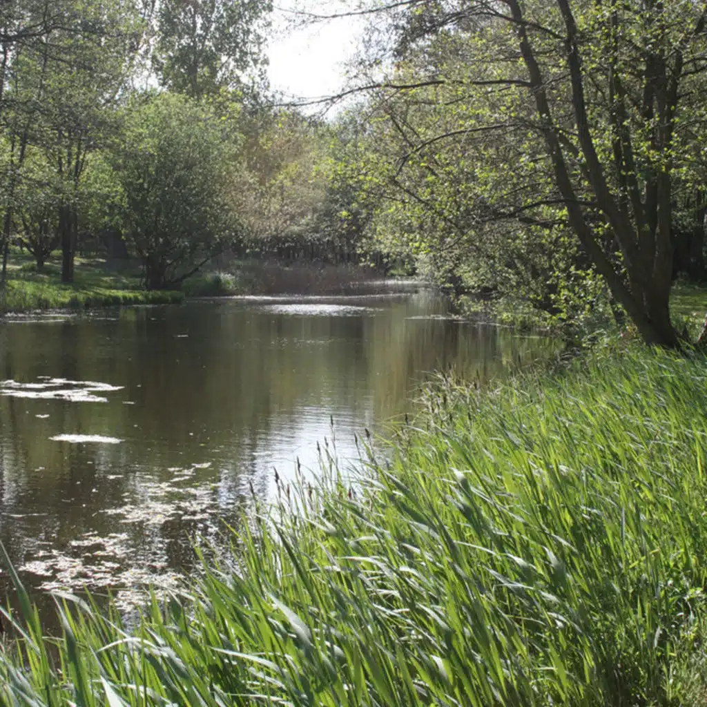 Janacek  - Lashes Dances for Symphony Orchestra; Mahler  - Symphony No 4