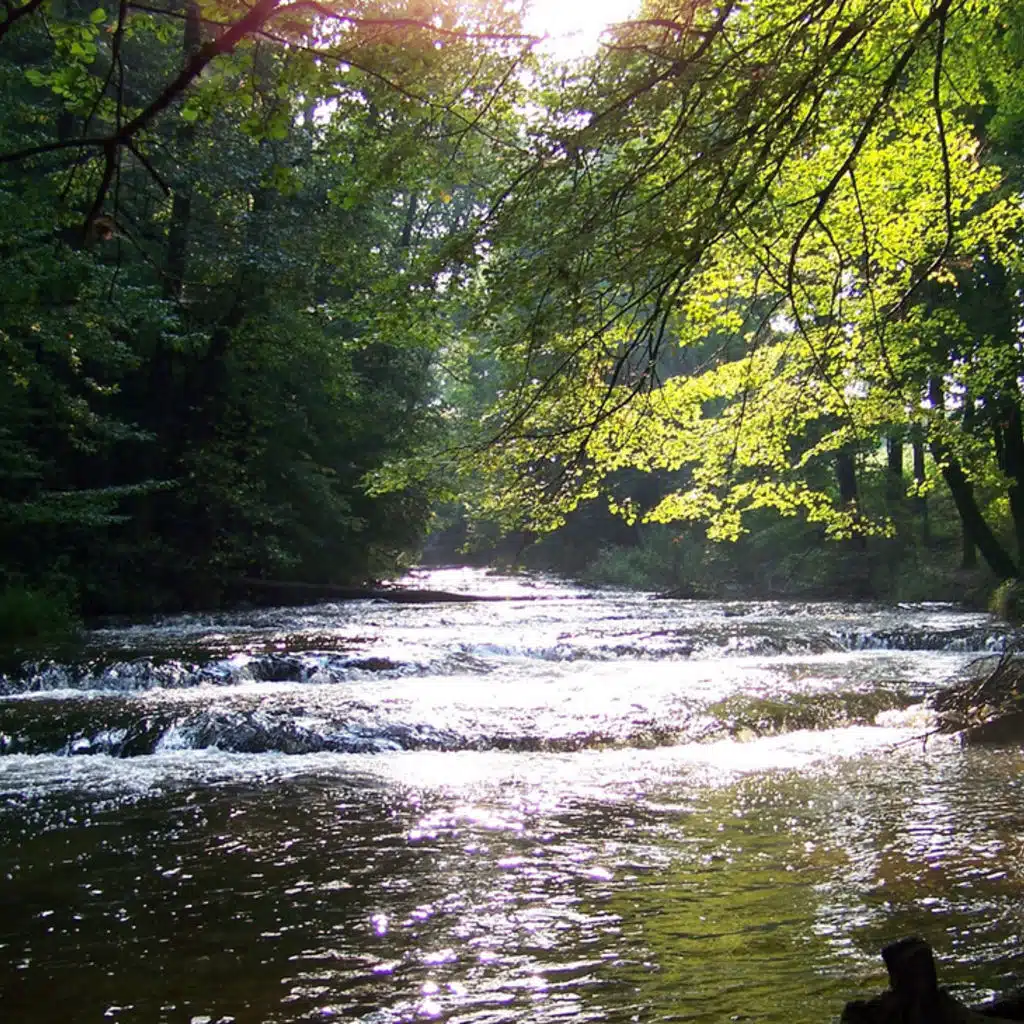 RTV Moscow Large Symphony Orchestra