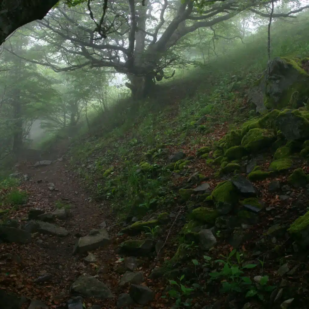 Mjaskowskij - Symphony No 21 and Symphony No 26