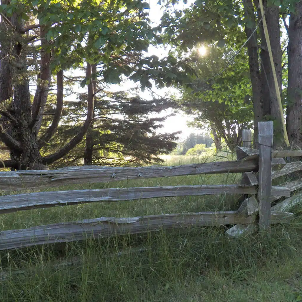 Haydn - Cassation, Concertos for King Ferdinand No 3 and No 5; Mozart  - Andante for Flute and Orchestra