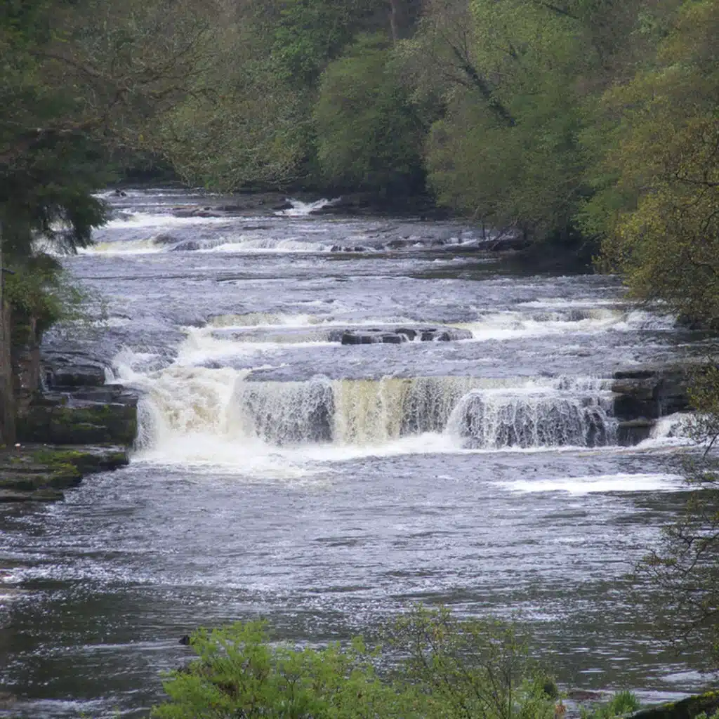 J S Bach  - Trio Sonatas No 1, No 2 No 3 and No 6