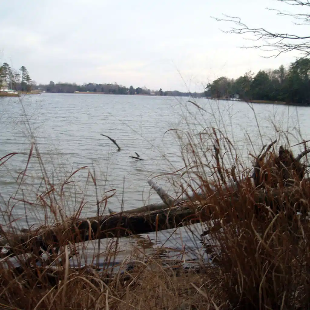 Respighi - Ancient Dances and Arias