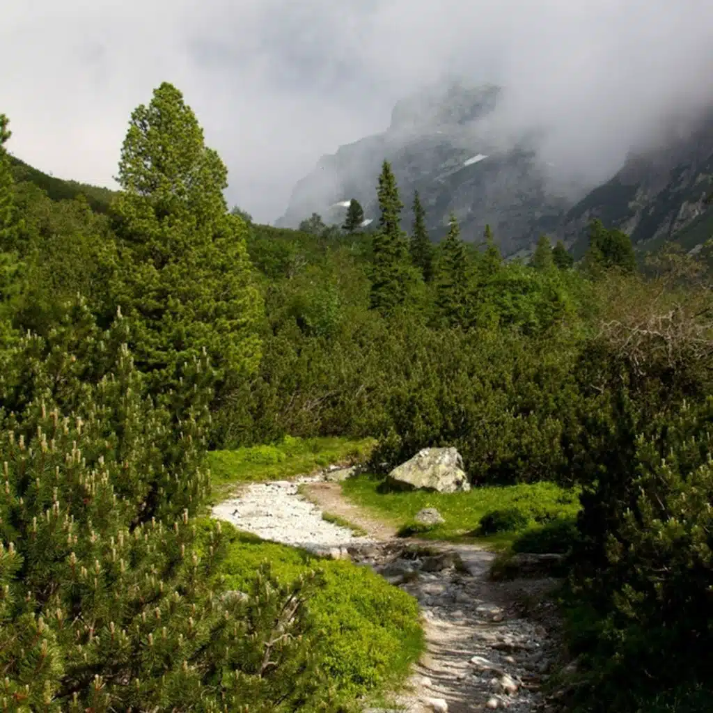 Khrennikov - Violin Concerto No 2 etc;  Liszt - Piano Concerto No 1 and Symphonic Poem No 2