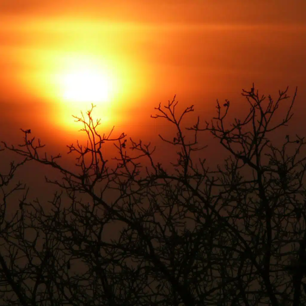 Symphony No. 1 in C major, Op. 21