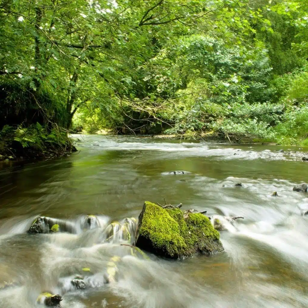 Concerto for Piano & Orchestra No. 21 in C major, KV 467 'Elvira Madigan'