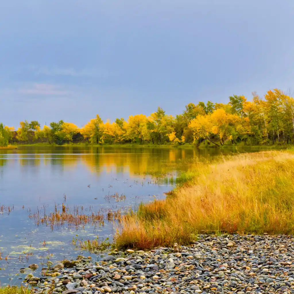 Dvorak - Symphony No 7 and Serenade for Strings