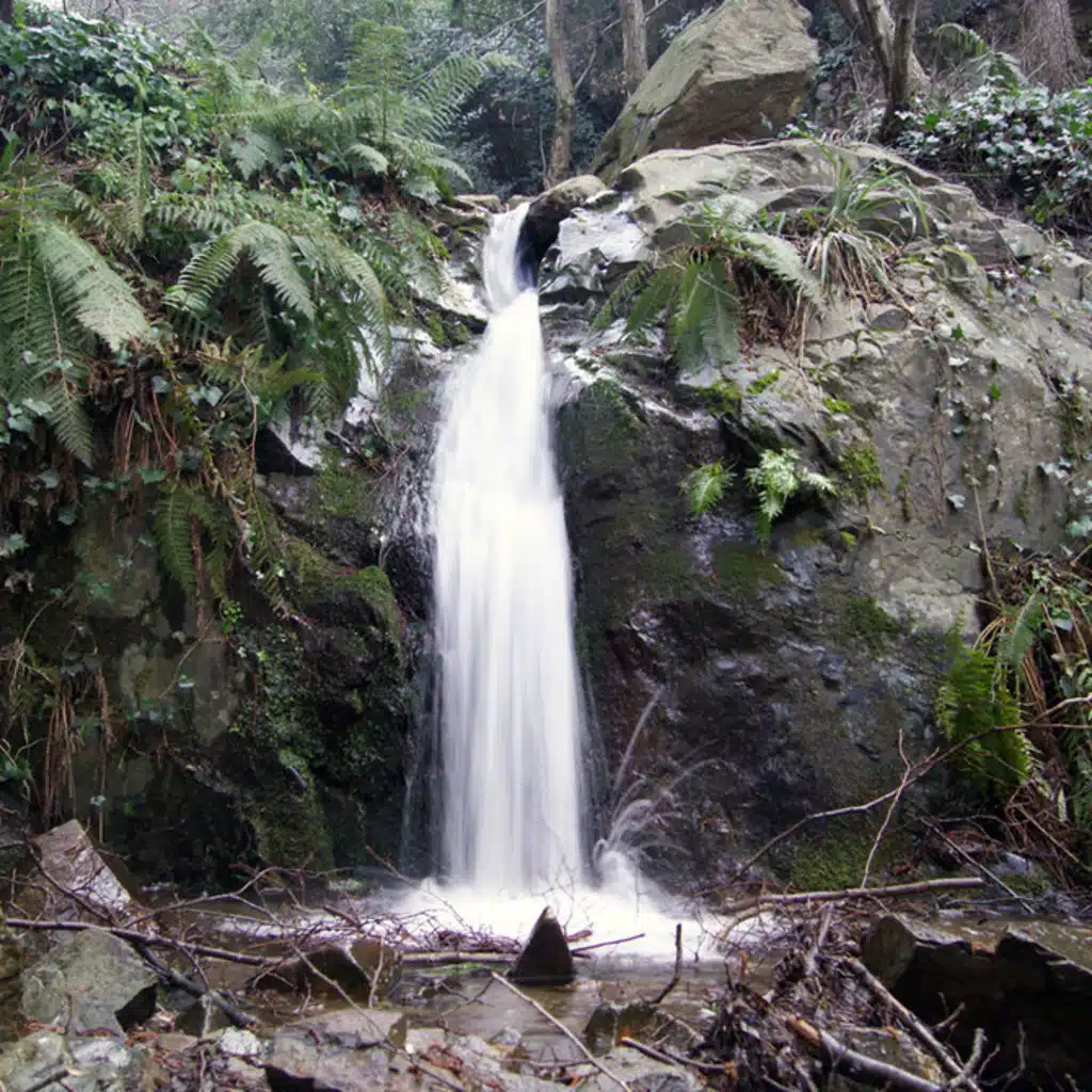 Estonian State Symphony Orchestra
