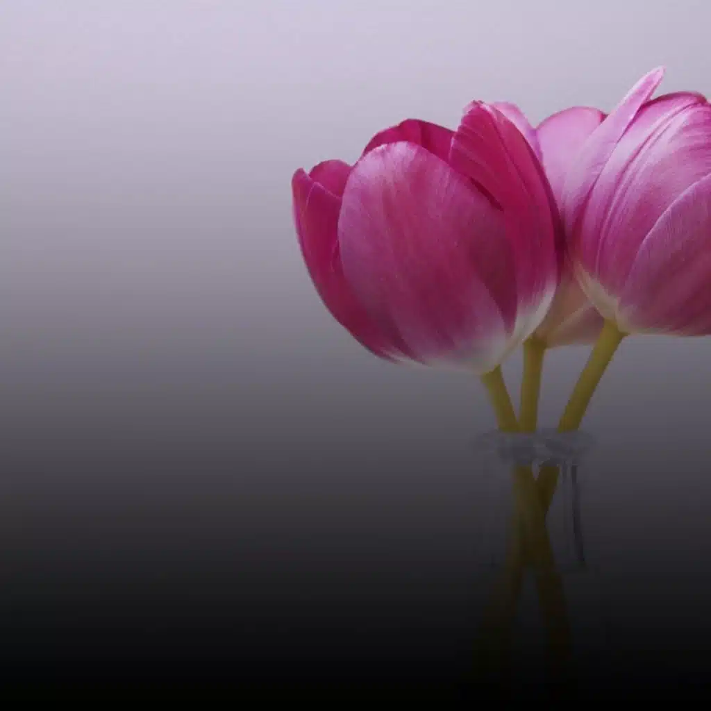 Gretchaninov - Symphony No 4; Ippoljitov Ivanov - Symphony No. 1