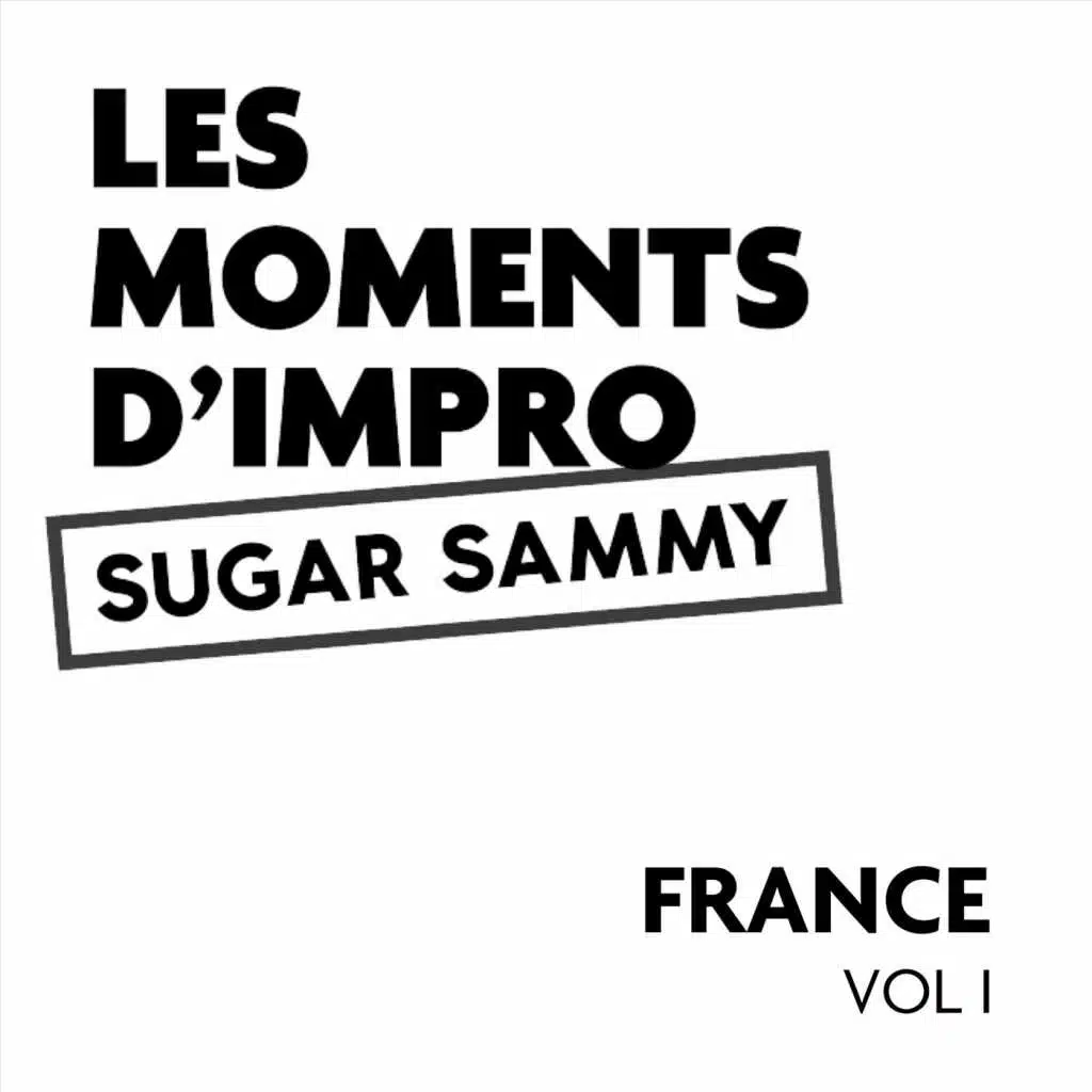 Les moments d'impro France, Vol. I