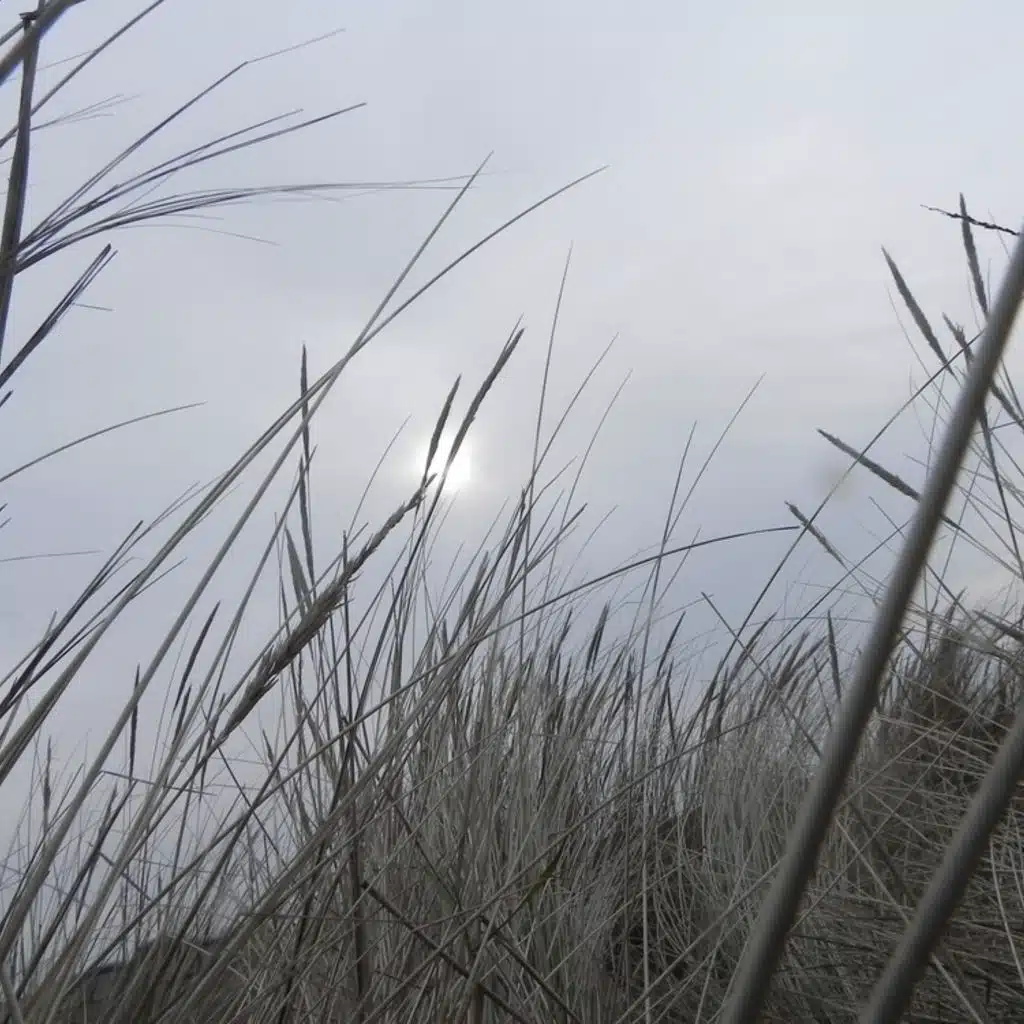 Gretchaninov - Symphony No 2 and Symphony No 4