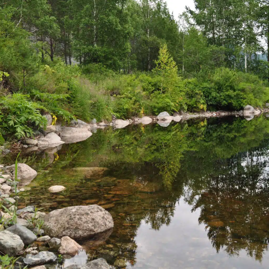 Beethoven  - Piano Sonata No 1; Brahms  - Symphony No 1