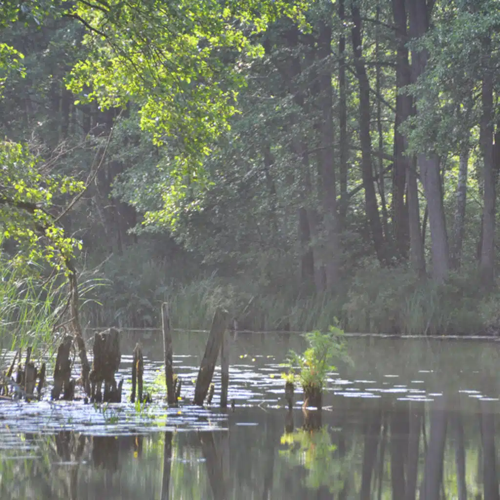 The Symphony Orchestra of the Moscow Philharmonic Society