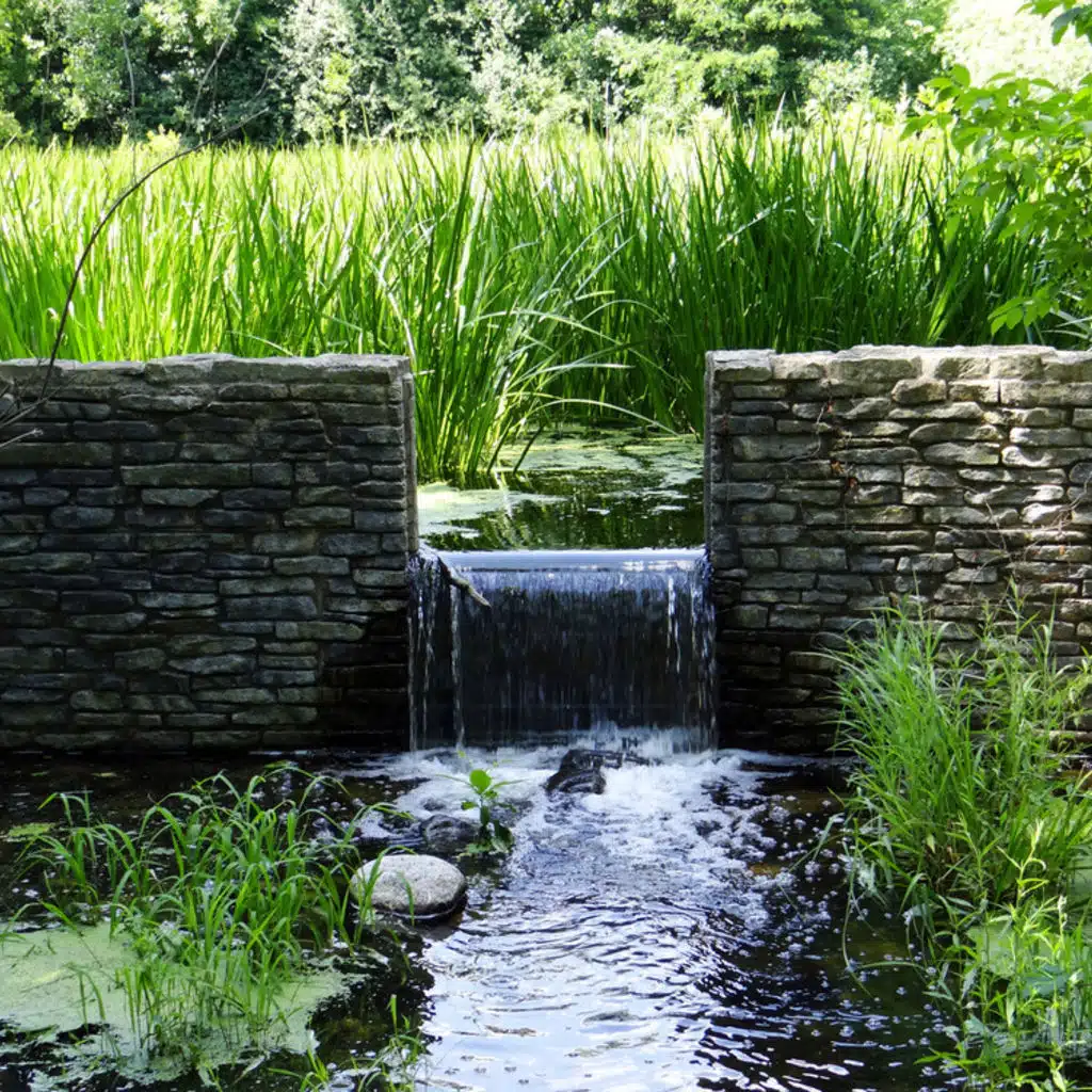 Piano Sonata&nbsp;No. 3 in&nbsp;B minor,&nbsp;Op.&nbsp;58