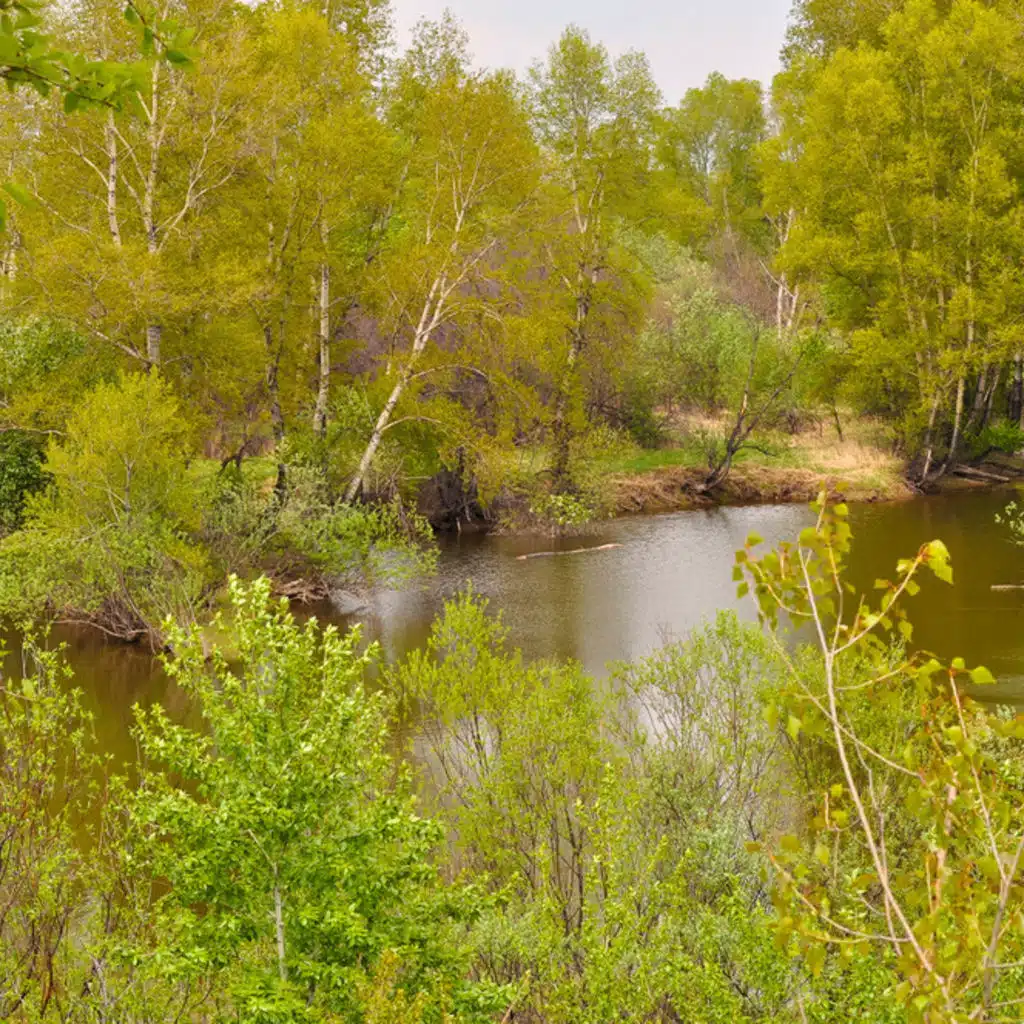 Beethoven  - Piano Sonatas No 2, No 5 and No 6