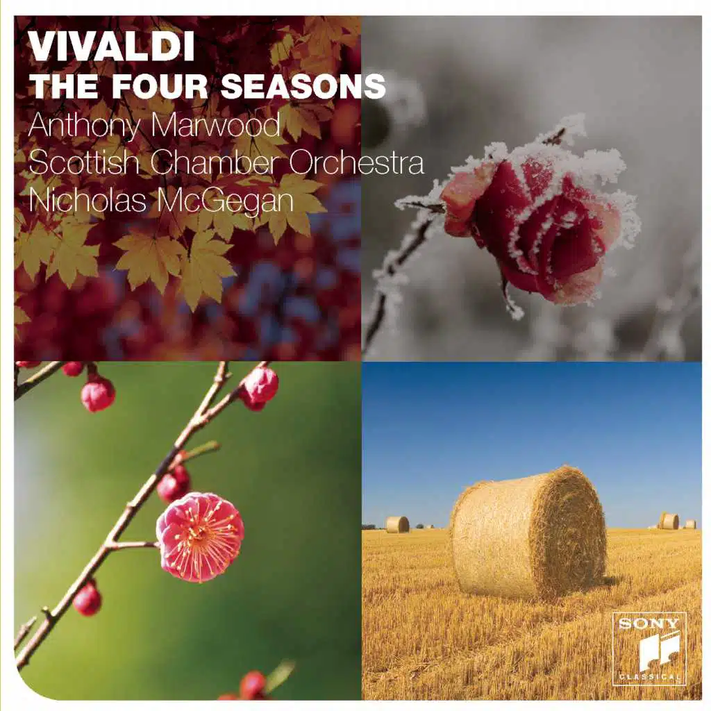 The Four Seasons: Concerto No. 2 in G Minor, Op. 8, RV 315: "L'estate" (Summer): II. Adagio