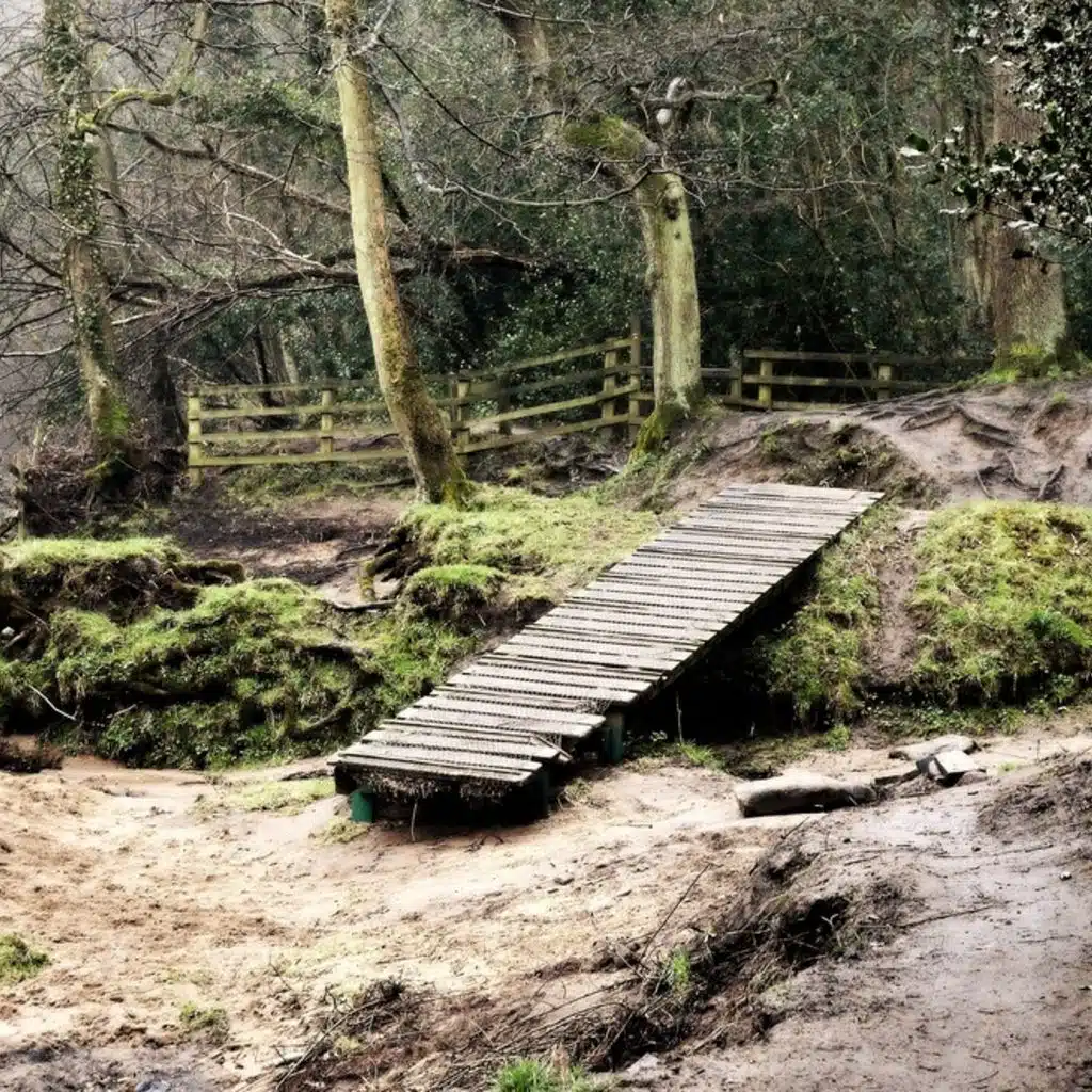 Rachmaninov  - Symphony No. 2 and The Cliff Op 7