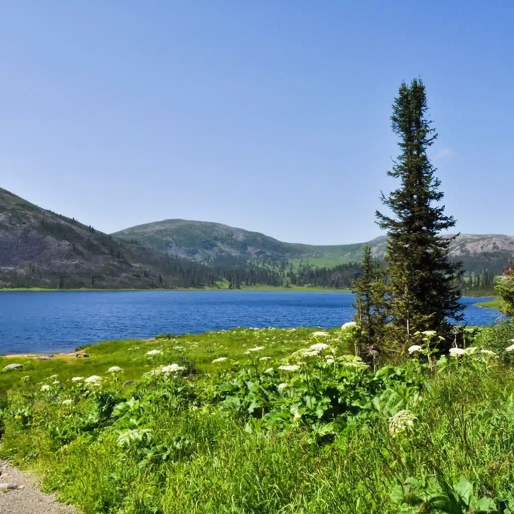 Haydn - Piano Concerto No 2; Mahler - Symphony No 4