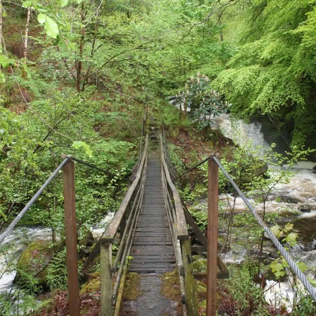 Daniela Ruso - Piano