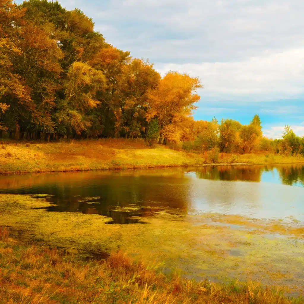 Concerto for Horn & Orchestra No. 4 in E flat major, KV 495