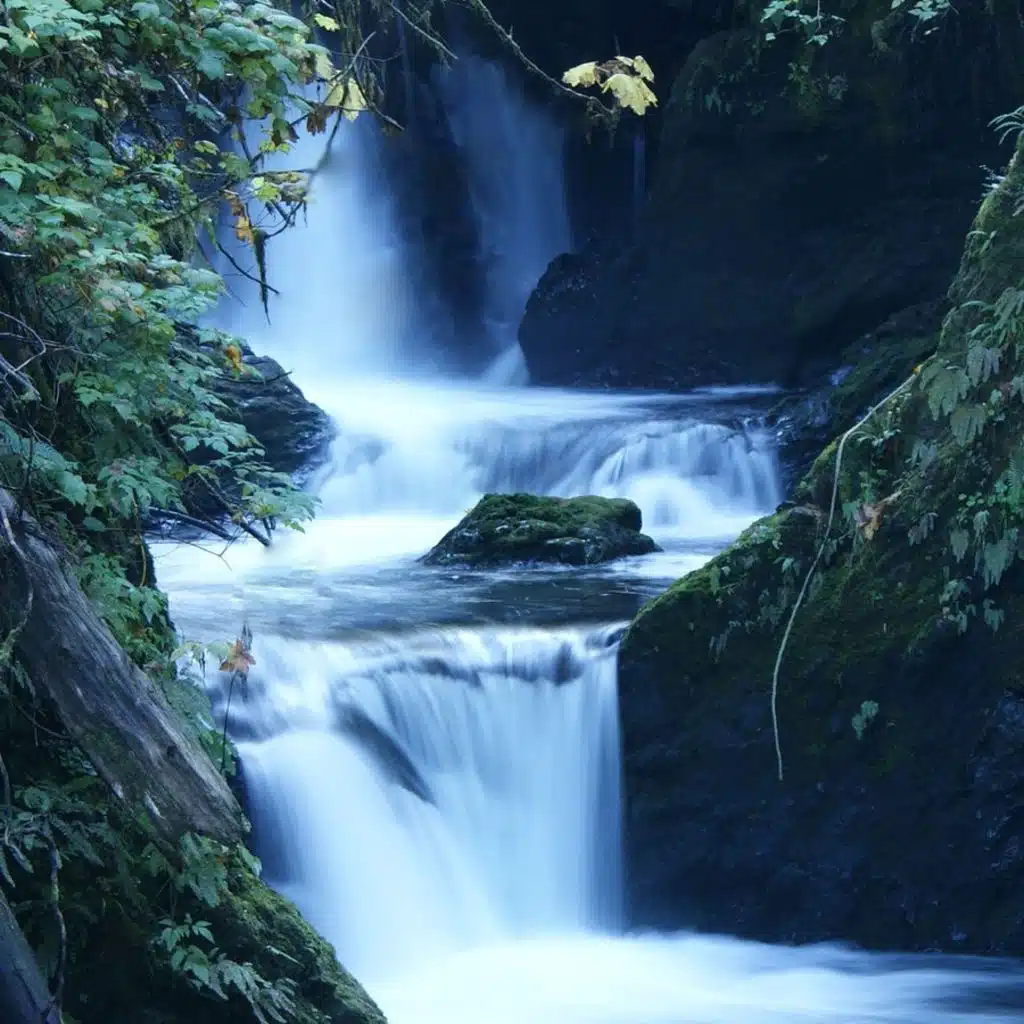 Moscow Philharmonic Chamber Orchestra