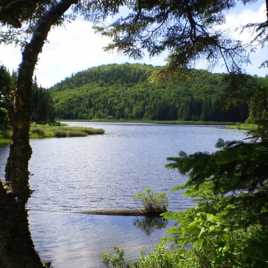 Veronika Reznikovskaya