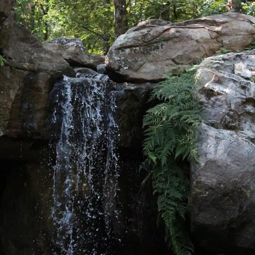 J S Bach - Trio Sonata No 5; Brahms - Symphony No 2