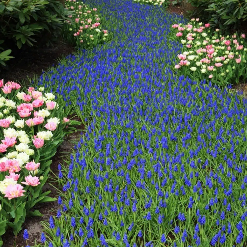 Symphony No. 1 in E minor, Op. 46