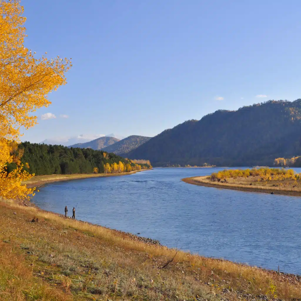 J S Bach  - Prelude and Fugue BWV 531 - BWV 535, Trio Sonatas No 4  and No 5