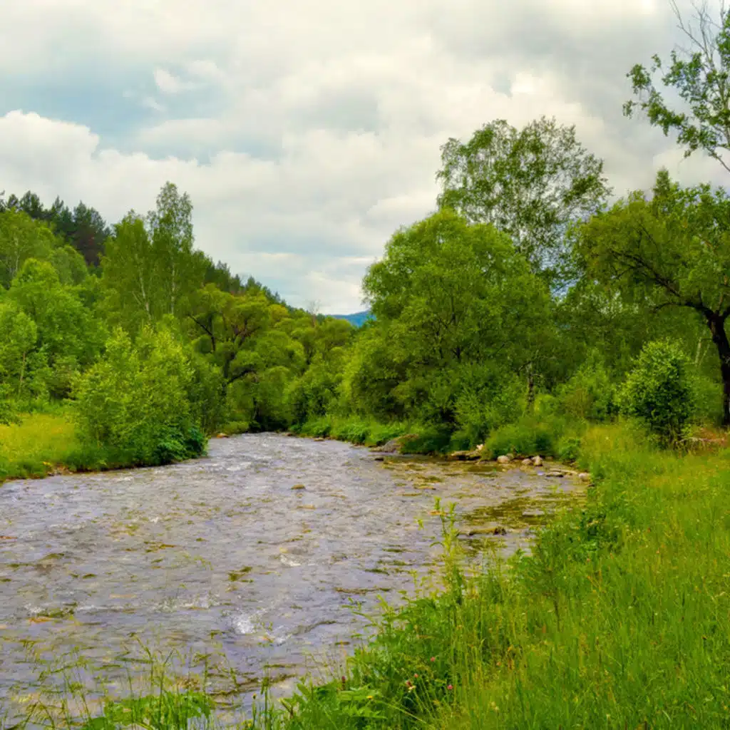 Ravel - Daphnis and Chloe Ballet and Tzigane