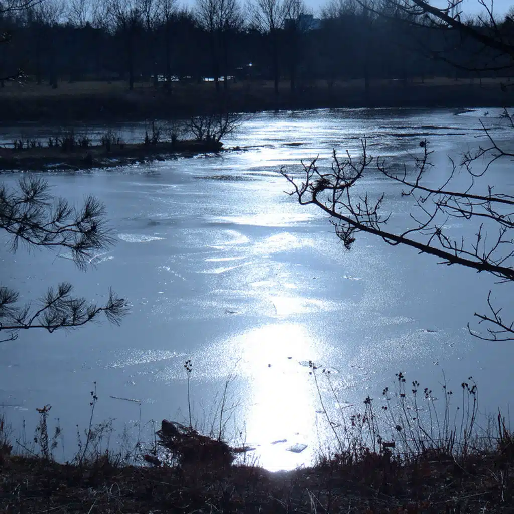 Piano Sonata No. 25 in&nbsp;G major, Op. 79