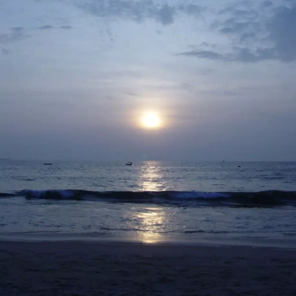 Beethoven  - Sonata No 17; Brahms  - Symphony No 1