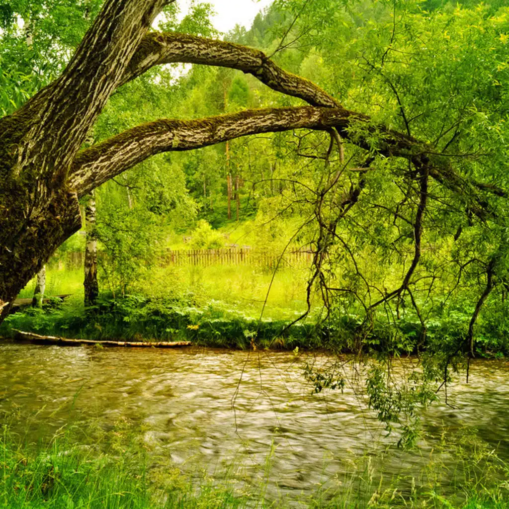 Gretchaninov - Symphony No 1; Stravinsky - Petrushka