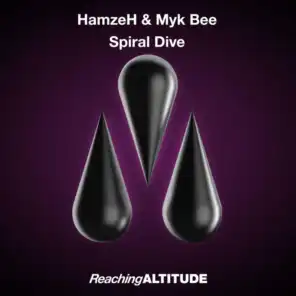 Spiral Dive (Extended Mix)
